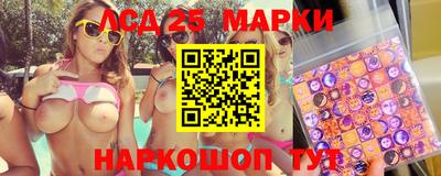 гидропоника Волжск
