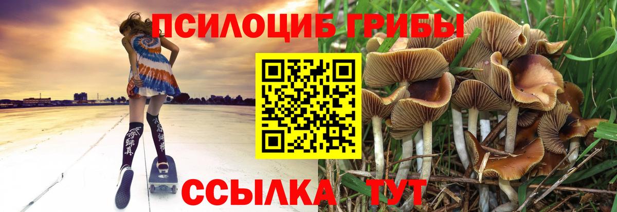 Галлюциногенные грибы Magic Shrooms Ковров